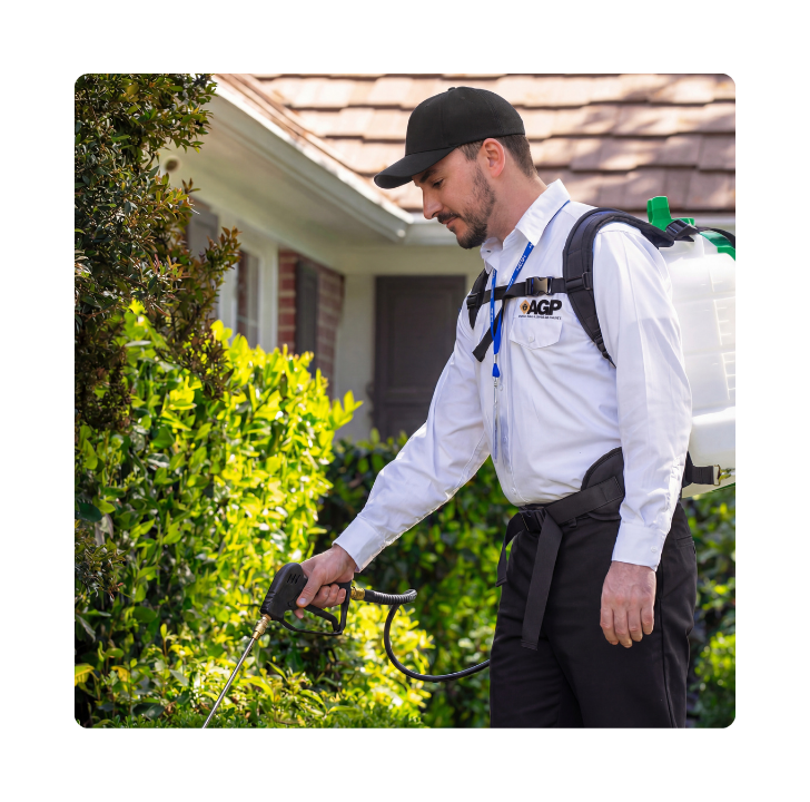 Design sans titre 2026 02 05T190027.656